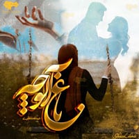 رمان باغ آلوچه