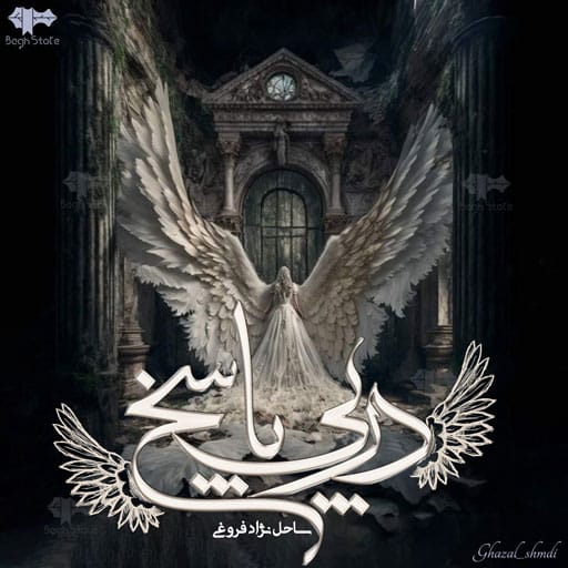 رمان در پی پاسخ