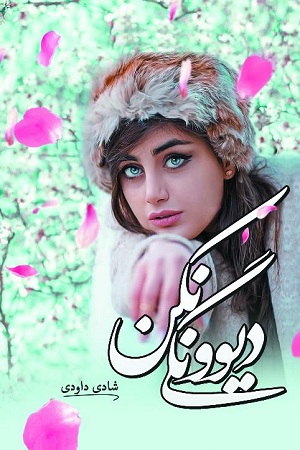 رمان دیوونگی نکن