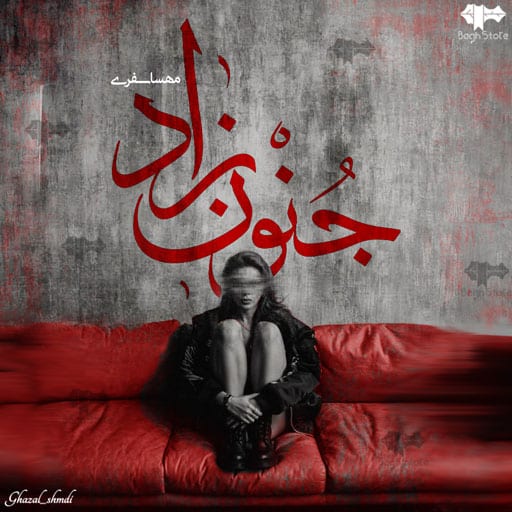 رمان جنون‌ زاد