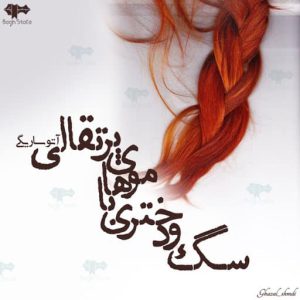 رمان سگ و دختری با موهای پرتقالی