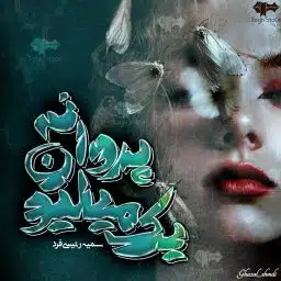 دانلود رمان یک میلیون پروانه از سمیه رئیسی فر