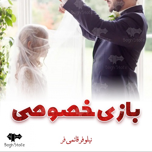 دانلود رمان بازی خصوصی از نیلوفر قائمی فر