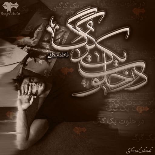 دانلود رمان در خلوت یک گرگ از فاطمه لطفی