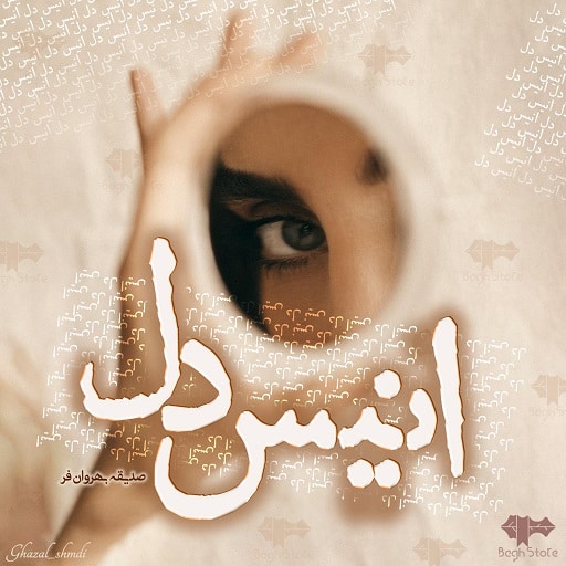 رمان انیس دل