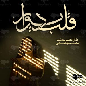 رمان قلب دیوار