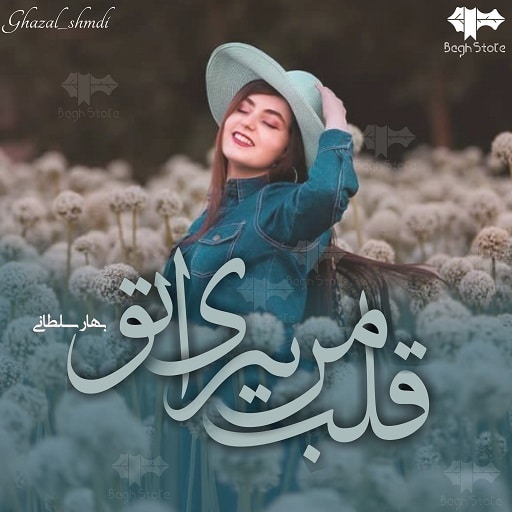 رمان قلب‌ من‌ برای‌ تو