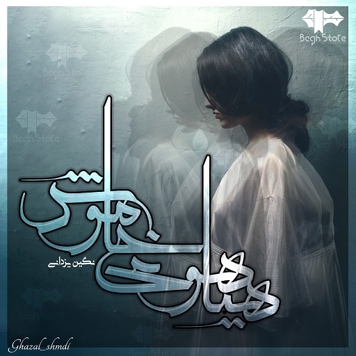 رمان هیاهوی خاموش