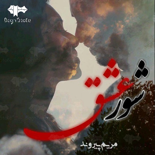 رمان شور عشق