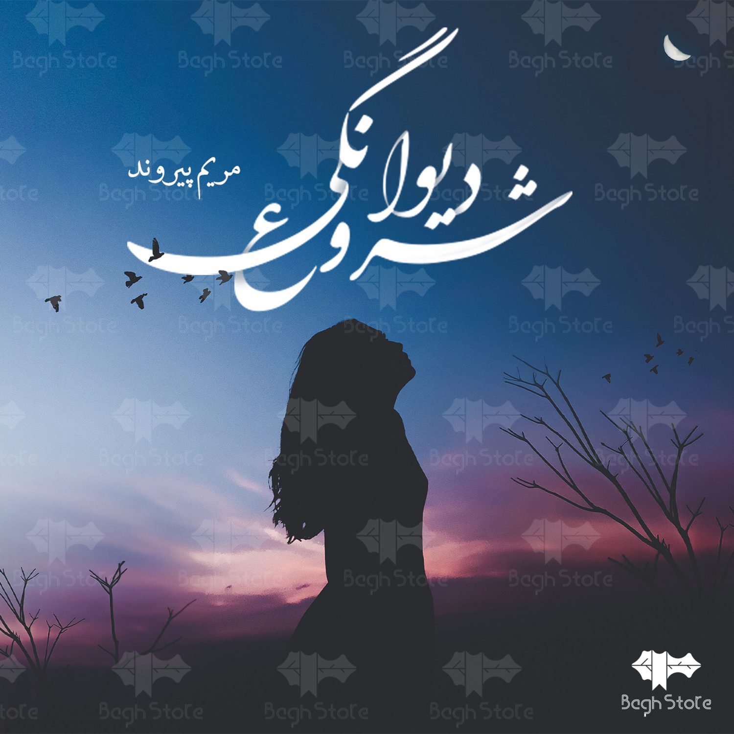 رمان شروع دیوانگی