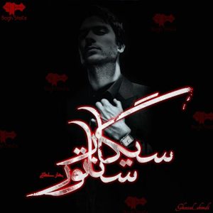 رمان سیگار سناتور