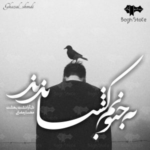 کتاب داستان به جنونم کشاندند