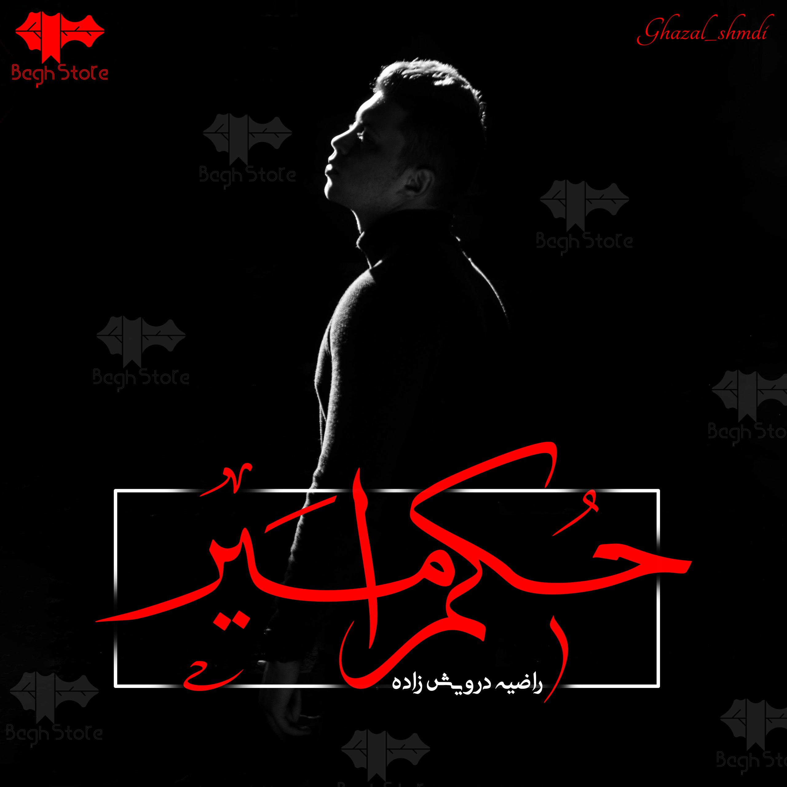 دانلود رمان حکم امیر از راضیه درویش زاده