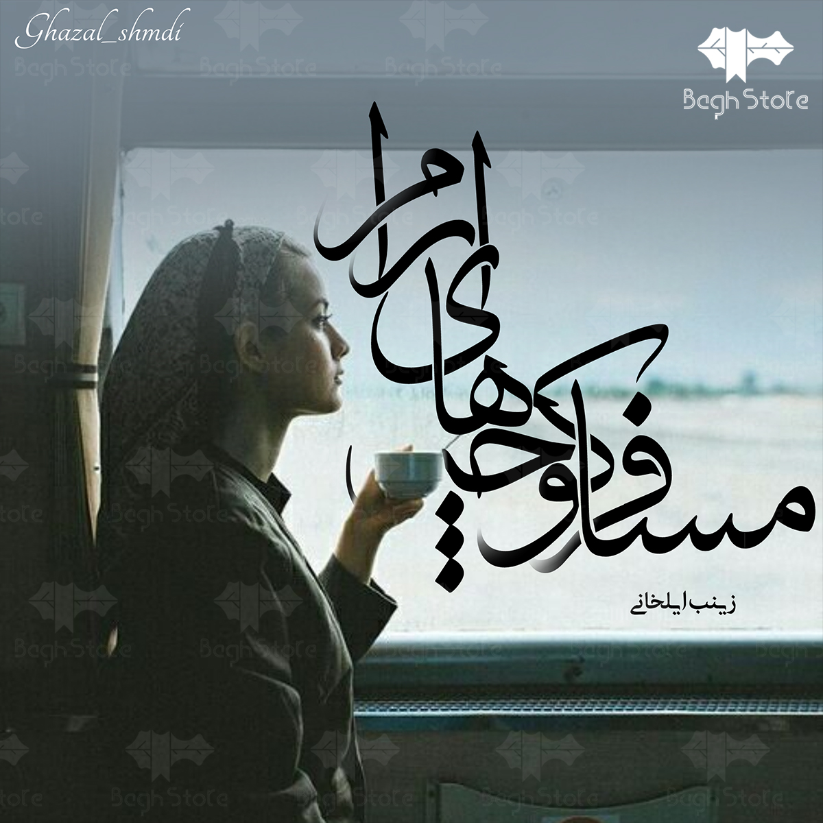 دانلود رمان مسافر کوچه آرام از زینب ایلخانی