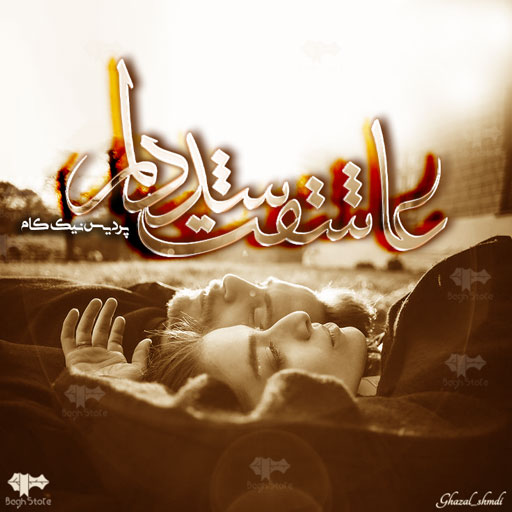 دانلود رمان عاشقت شد دلم از پردیس نیک کام