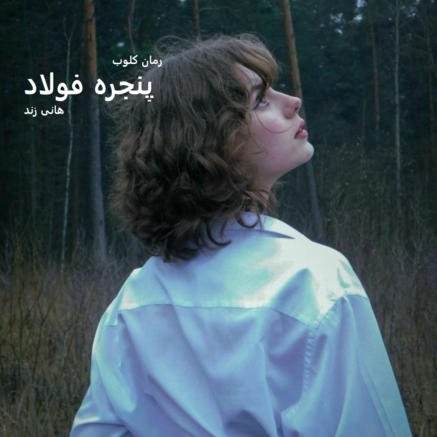 دانلود رمان پنجره فولاد از هانی زند دانلود رمان پنجره فولاد از هانی زند